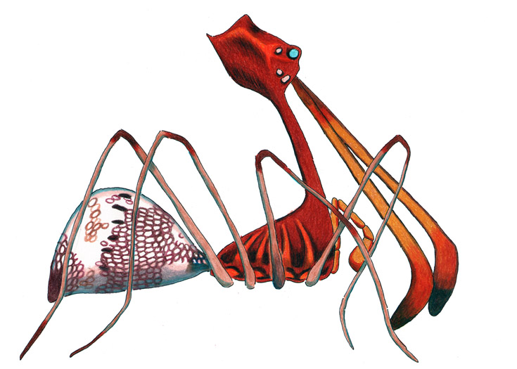 Deviantart Spider Assassin Spider by NocturnalSea on DeviantArt