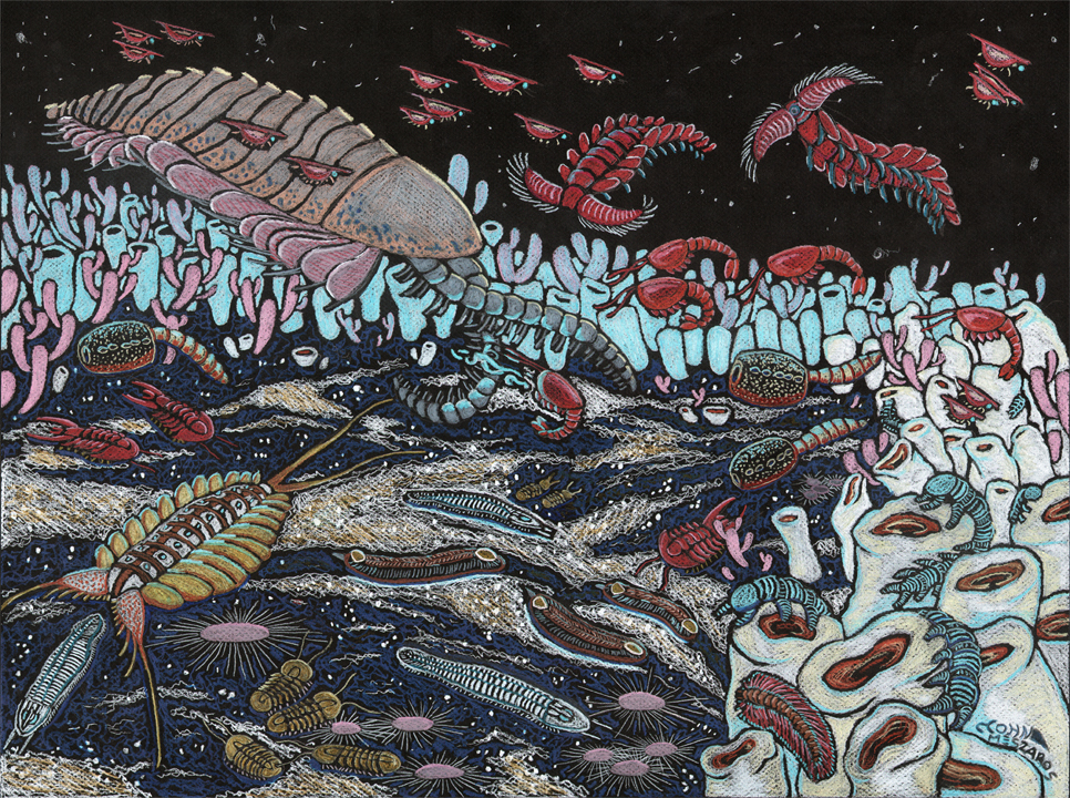 Sirius Passet fauna