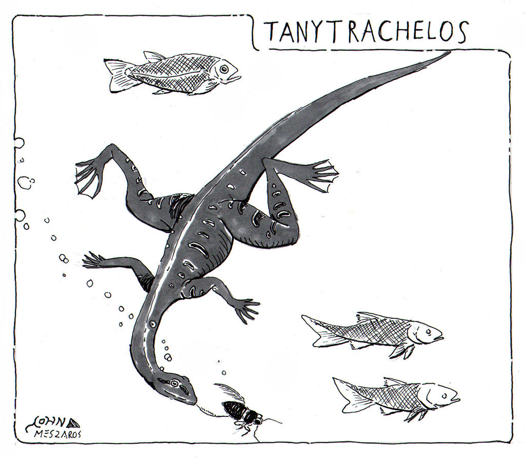 Fossils of the East Coast- Tanytrachelos