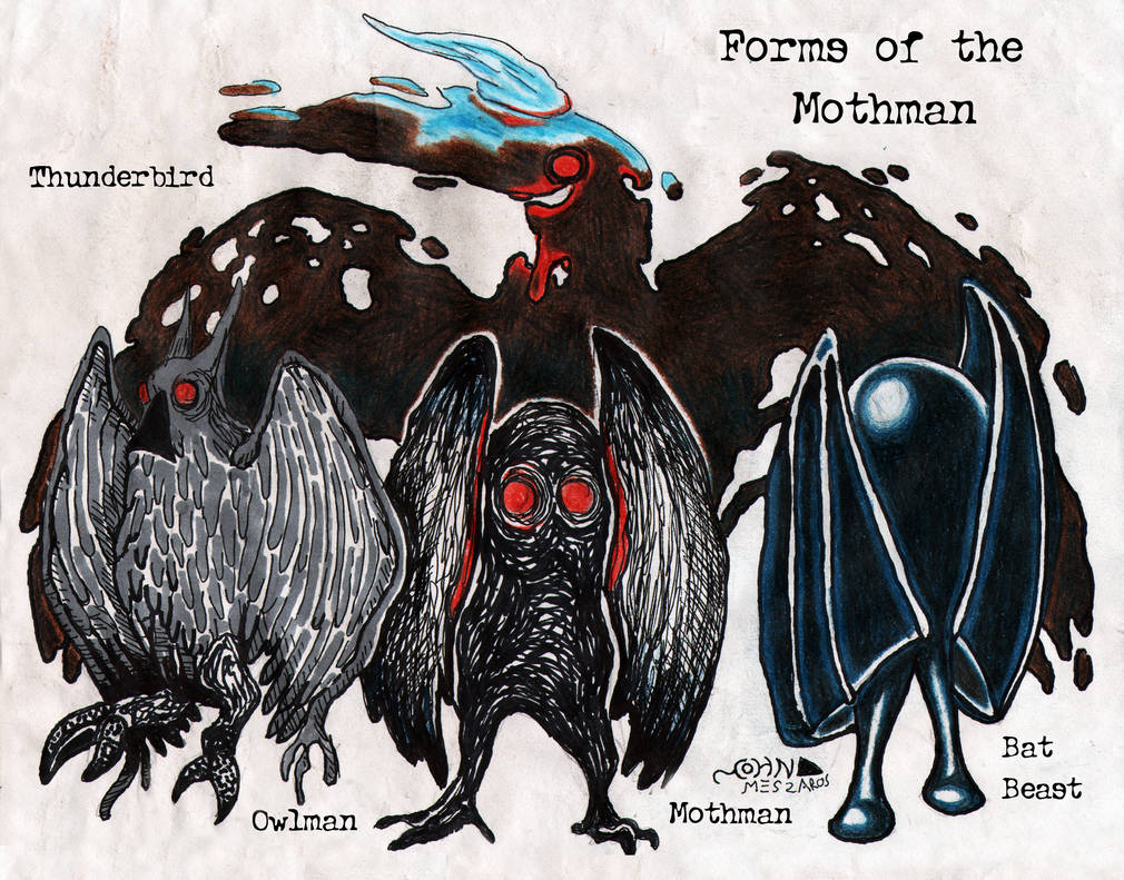 Forms of the Mothman by NocturnalSea on DeviantArt