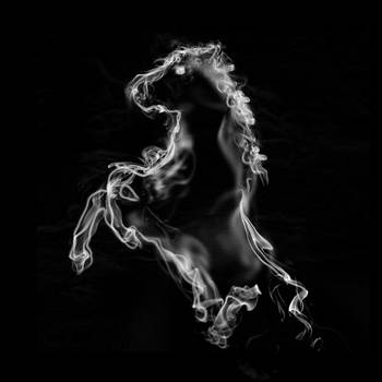 Horse Patronus by PabloDoogenfloggen