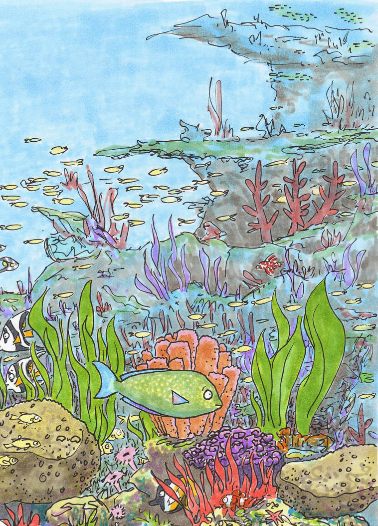 Reefscape Animation More reefs by mattwebb on DeviantArt