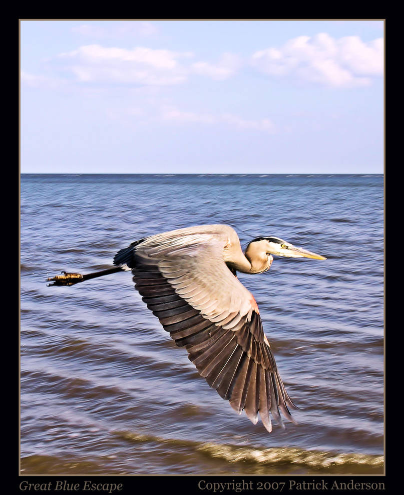 Great Blue Escape by renaissanceman3