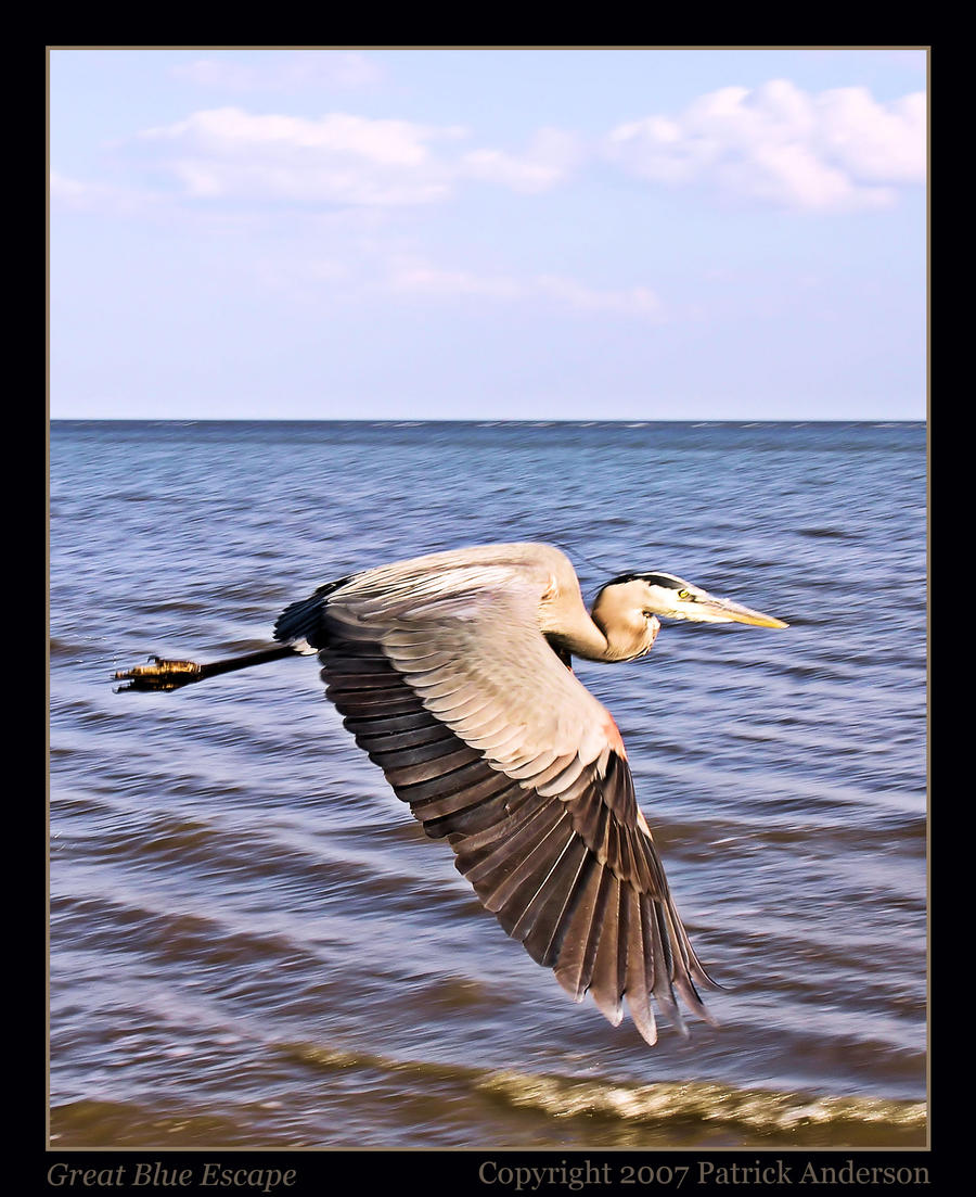 Great Blue Escape by renaissanceman3