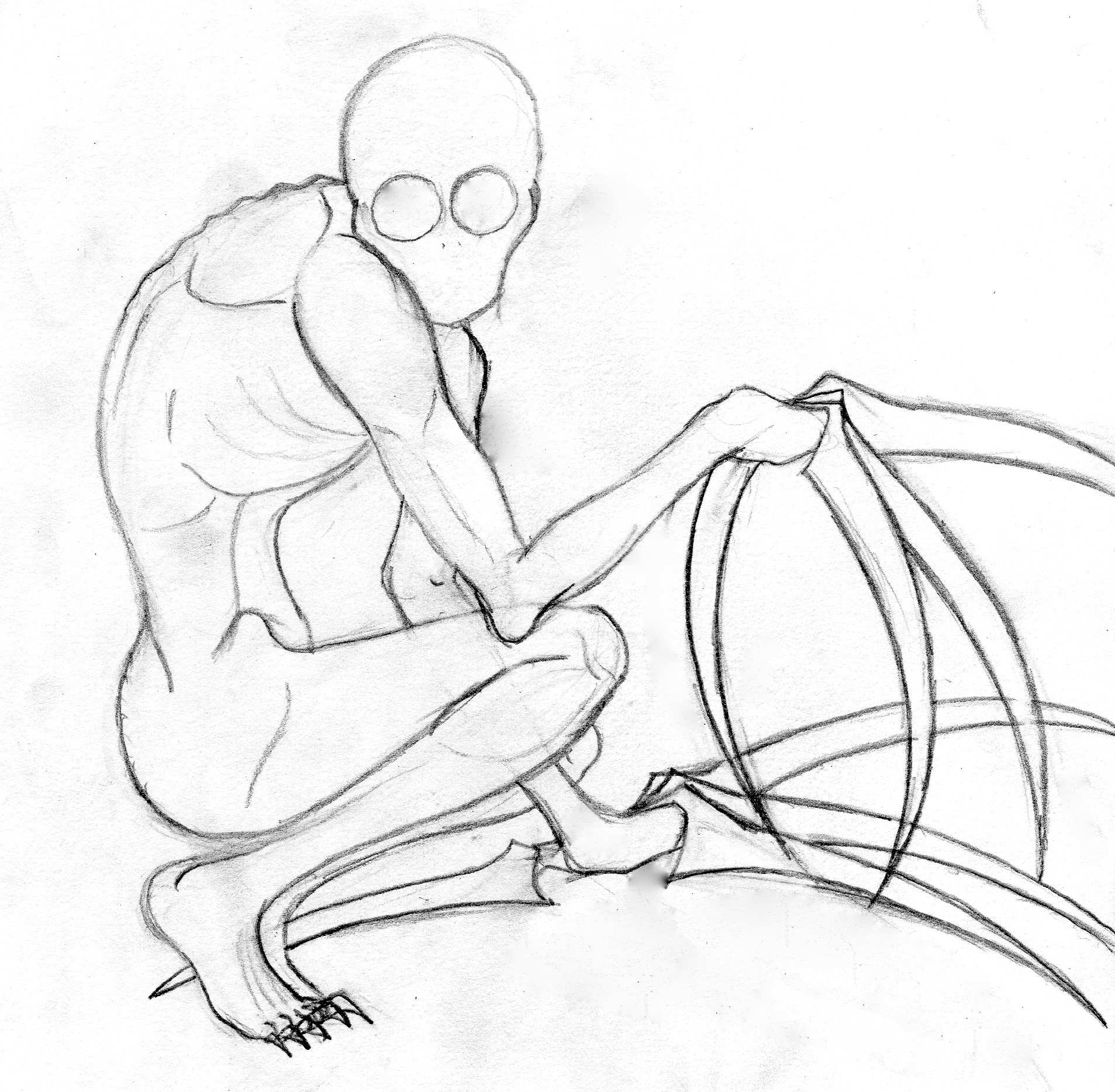 The Raske The Rake Drawing