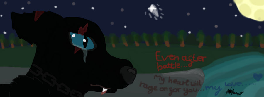 Shadow- Rage on for you by DarknessWolfShadow on DeviantArt