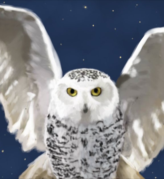 Hedwig