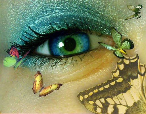 Butterfly Eye 2