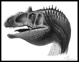 Allosaurus fragilis portrait