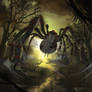 The Spider