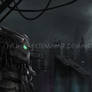 Predator at Gotham