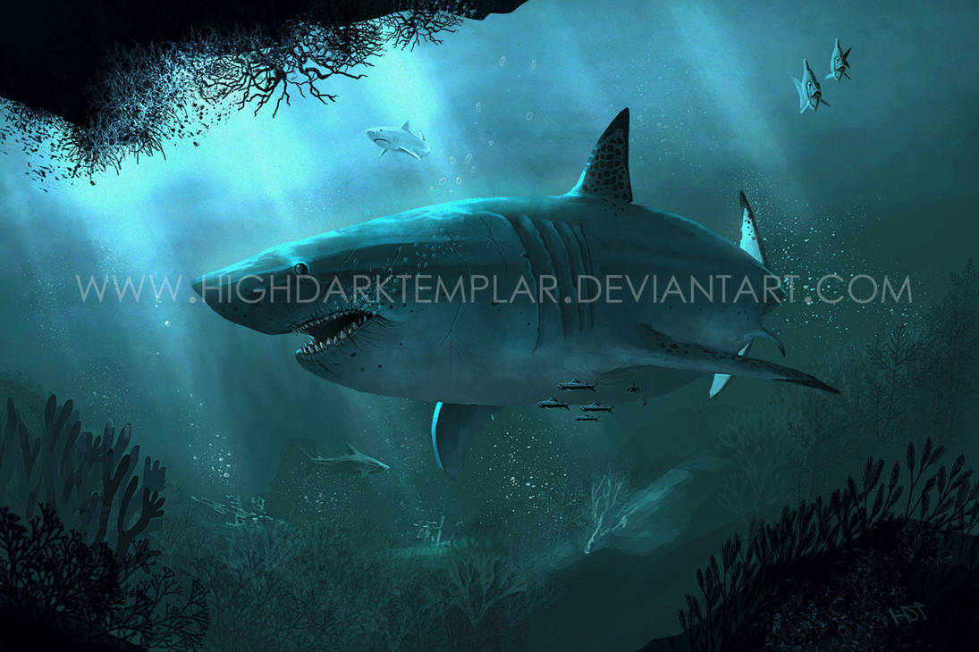 Carcharodon megalodon by highdarktemplar on DeviantArt