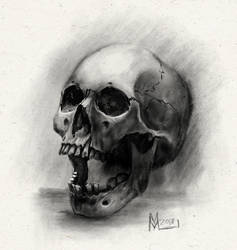 Skull-3