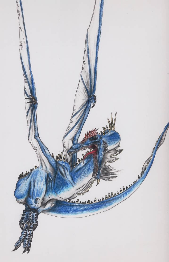 The Blue Dragon by highdarktemplar on DeviantArt
