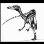 Troodon