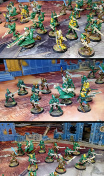 Eldar Guardians, Cypra Crafworld