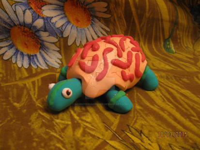 -Turtle-