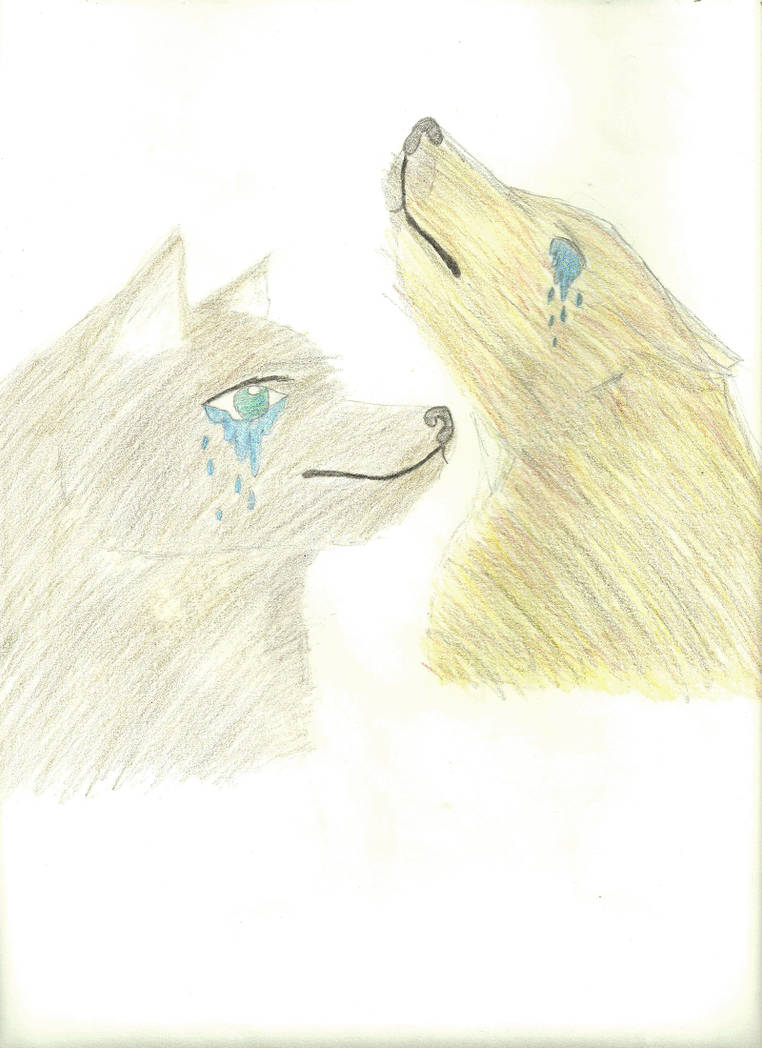 Crying Wolves by MysteryPerson14 on DeviantArt