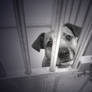 behind bars -28-