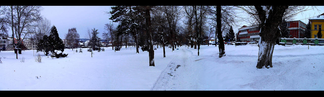 winter panorama