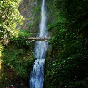 Multnomah Falls