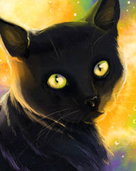 Black Cat