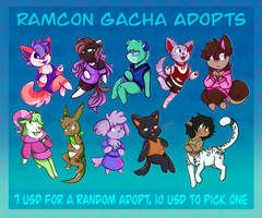 RAMcon Adopts