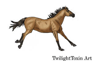 akhal teke