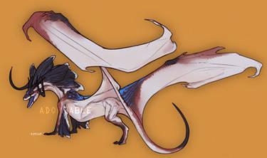 Dragon adopt CLOSED