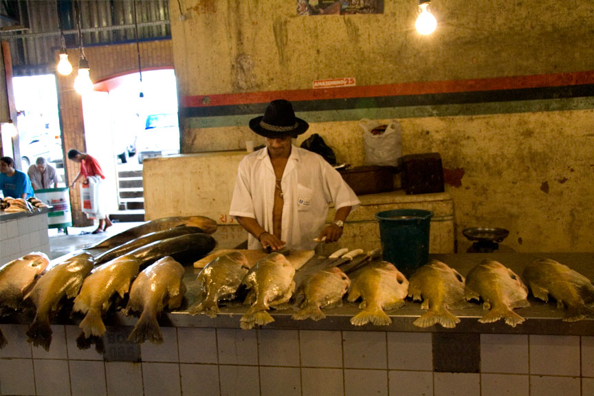 Brazilian Fish Market