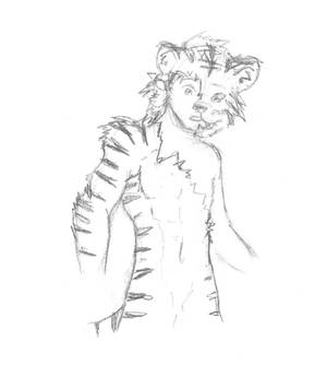 Incomplete Tiger Skin
