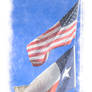 US-Texas Flags