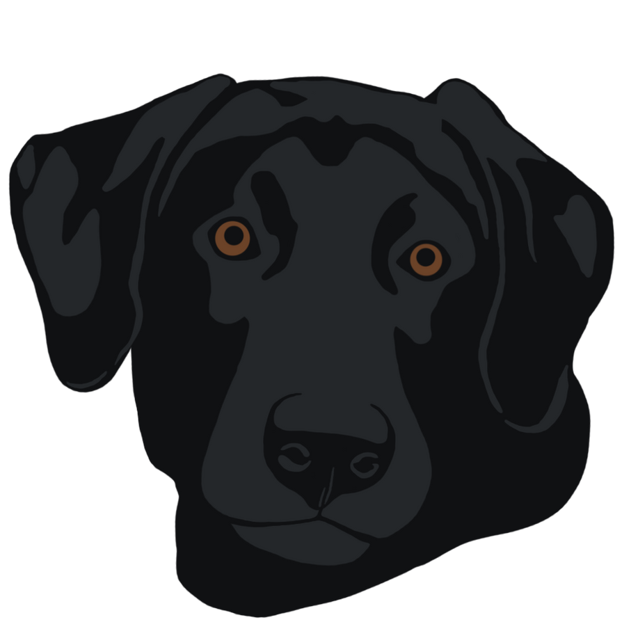 Black Lab Deviantart Black Lab Head by G4M3Kitty on DeviantArt