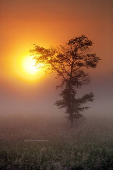 Touching the Sun