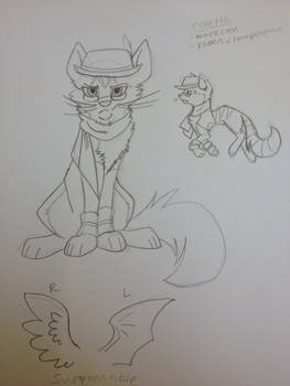 Colette- fursona character sketches
