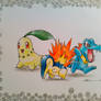 Johto Starters