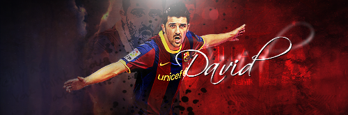 David villa