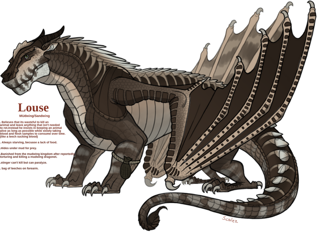 Louse Ref By Turquoisethorns On Deviantart Louse Ref By Turquoisethorns On Deviantart