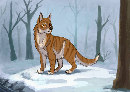 Maplefrost