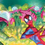 spidey kids book2