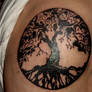 Tree of Life
