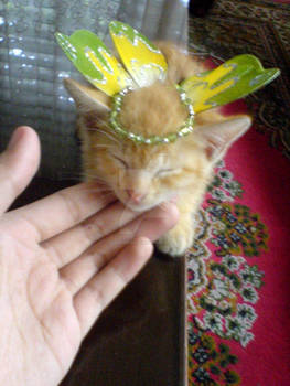 meow fairy