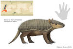 Nea - Oliver's Hairy Armadillo by Clawedfrog