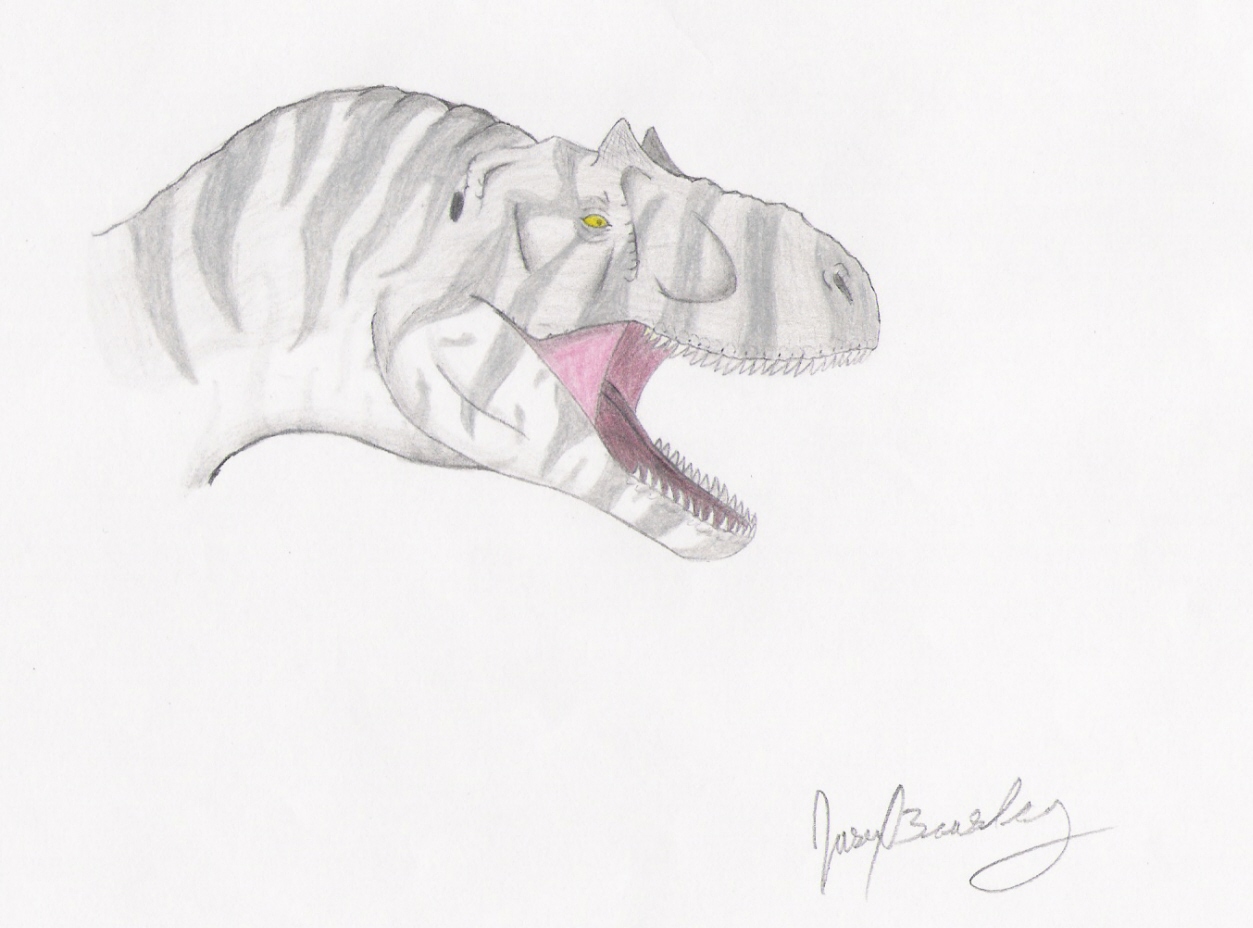 Allosaurus Head By MonsterMan2000 On DeviantArt