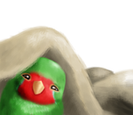 SoftParrots|Lovebird snuggle shy by pillowglitch