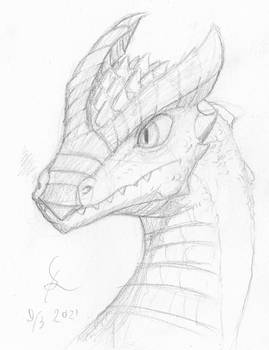 also derg face