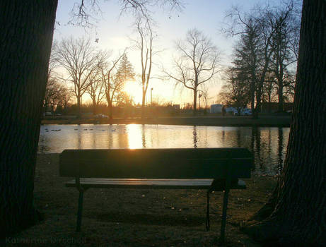 Sunset by the River