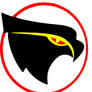 2011 blackhawks reboot  emblem