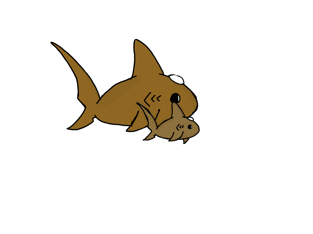 Elemental Jewel shark-Penny And Copper-OPEN