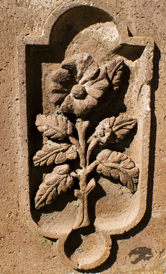 Petrified Flower